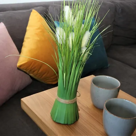 Mit Terassee & Aussicht Auf Und Berge Apartamento Lochau